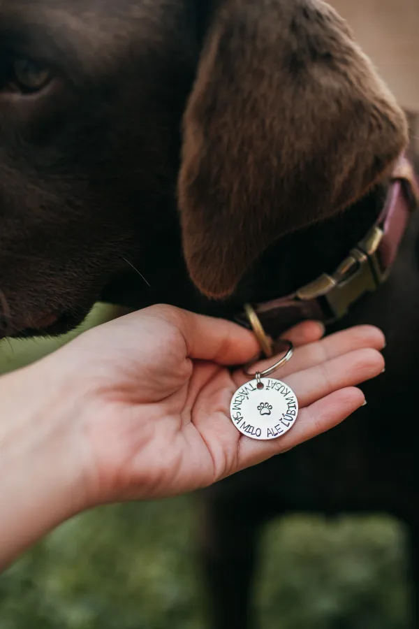 Štítok pre psa- Tvárim sa milo ale ľúbim kusať