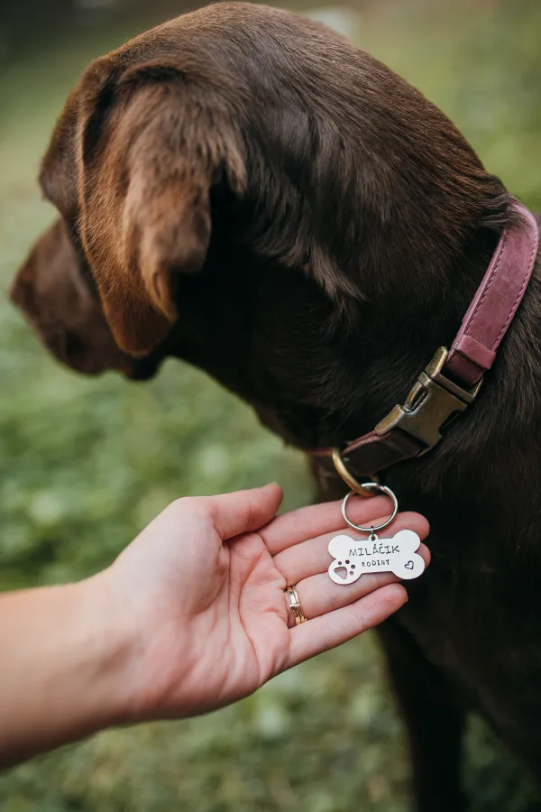 Štítok pre psa- Miláčik rodiny