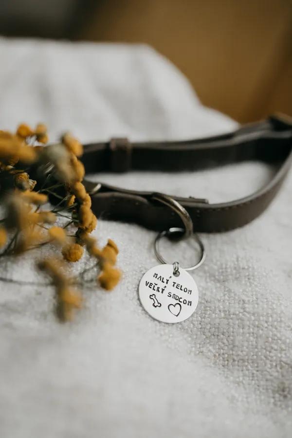 Štítok pre psa- Malý telom veľký srdcom