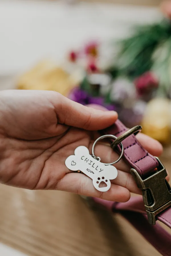 Štítok pre psa/mačku s ručne vyrazeným textom podľa vášho želania (kópia)